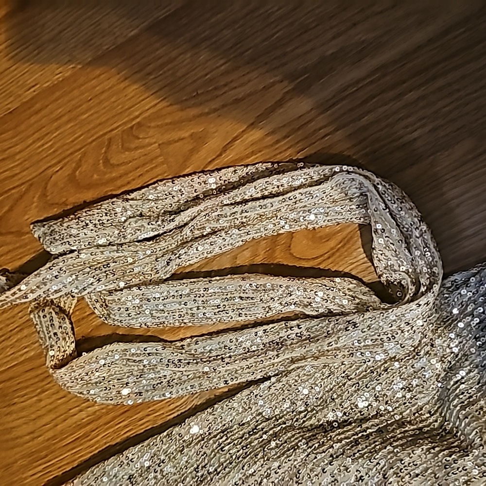 Sequin Blouse - image 5